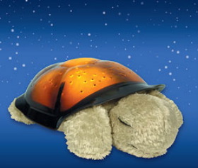 twilight-turtle.jpg