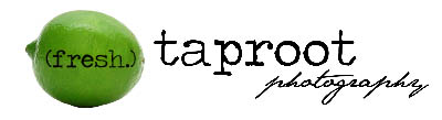 taproot-photography-logo1 taproot-photography-logo1