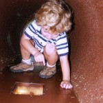 discovery-log-interior-center-for-wildlife-education-statesboro discovery-log-interior-center-for-wildlife-education-statesboro