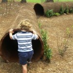 discovery-logs-at-center-for-wildlife-education-statesboro discovery-logs-at-center-for-wildlife-education-statesboro