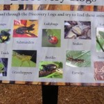 discovery-logs-sign-center-for-wildlife-education discovery-logs-sign-center-for-wildlife-education