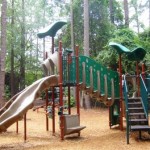 playground-center-for-wildlife-education-statesboro playground-center-for-wildlife-education-statesboro