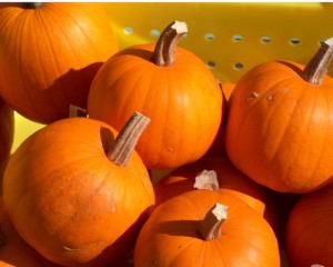 Pumpkin Patch 2014 Halloween Costume Contest, Hilton Head Is. Bluffton