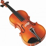 violin