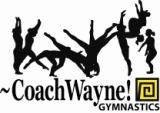 coach-wayne-button-ad