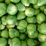 sprouts