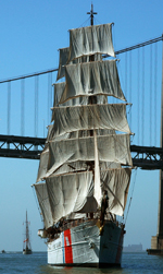eagle1