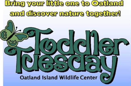 Toddler Tuesdays at Oatland Island Wildlife Center