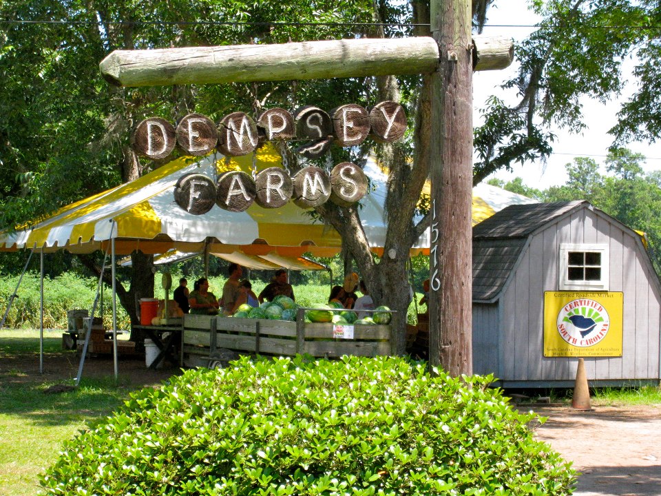 u-pick farms Savannah Dempsey Farms Beaufort S.C.