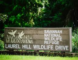 Savannah National Wildlife Refuge kids' activities