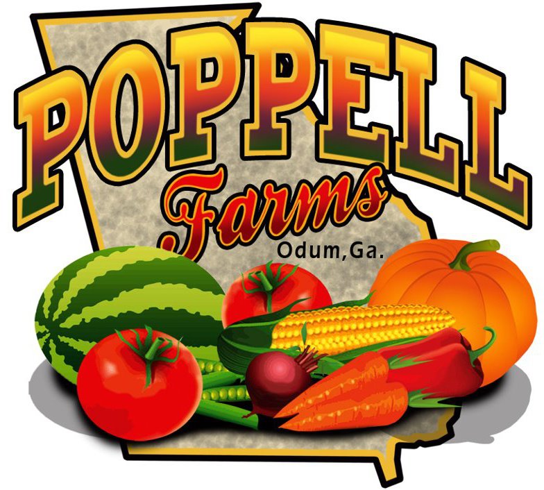 Poppell Farms pumpkin patch 2013 near Savannah