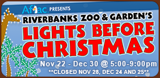 Lights Before Christmas Riverbanks Zoo Columbia S.C. 