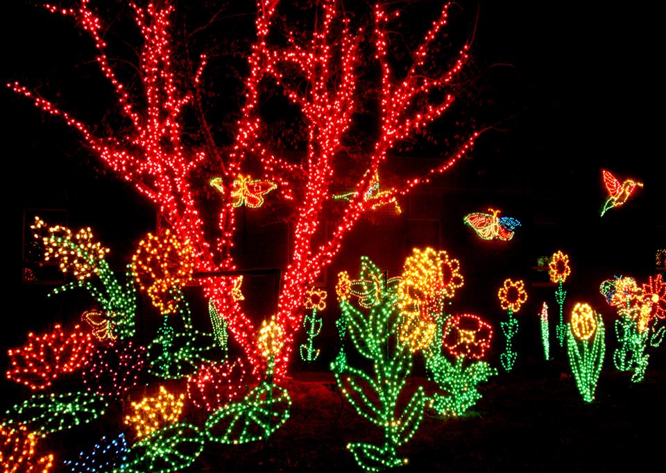 Riverbanks Zoo Holiday Lights Display 2013 Columbia S.C. 