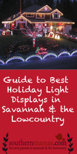 Best home holiday lights Christmas decorations in Savannah