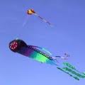 Tybee Kite Flying Festival 2014