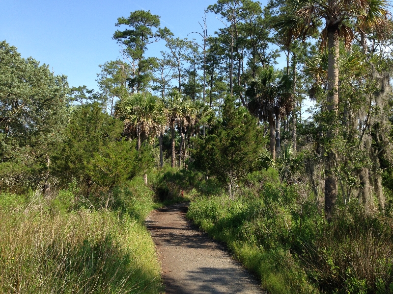 Skidaway Is State Park hiking trails