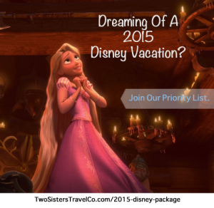 Disney 2015 packages