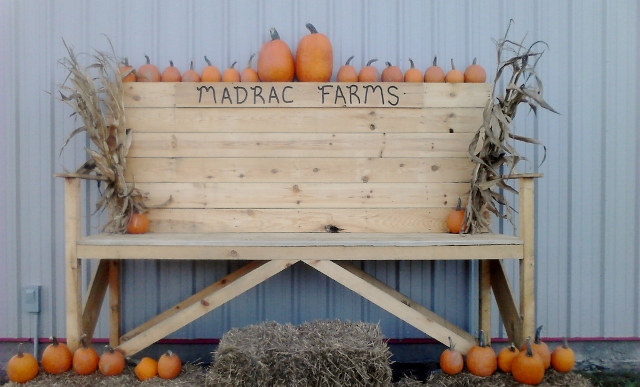 Pumpkin Patches Corn Mazes near Savannah 