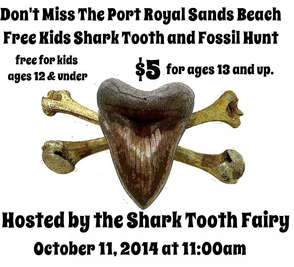 FREE shark tooth hunt Oct. 11 Port Royal Beaufort 