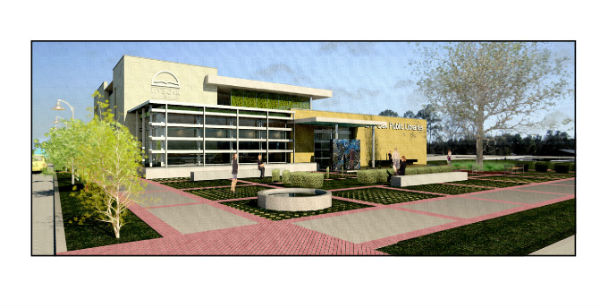 New Islands and Garden City Live Oak Public Libraries