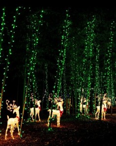 December Nights & Holiday Lights 2014 Coastal Georgia Botanical Gardens Savannah 