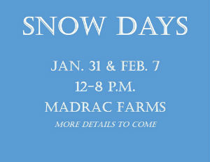 Snow Day Sledding Savannah 2015 Madrac Farms 