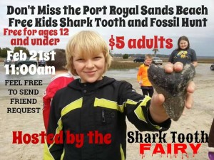 Shark Tooth Hunt Beaufort SC Shark Tooth Fairy