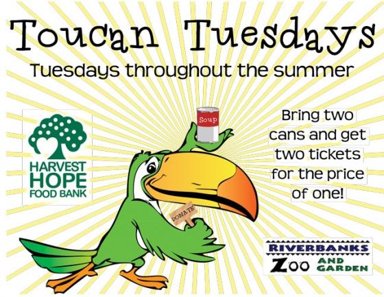 Toucan Tuesday free ticket Riverbanks Zoo 