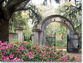 Wormsloe Historic Site Georgia First Fourth