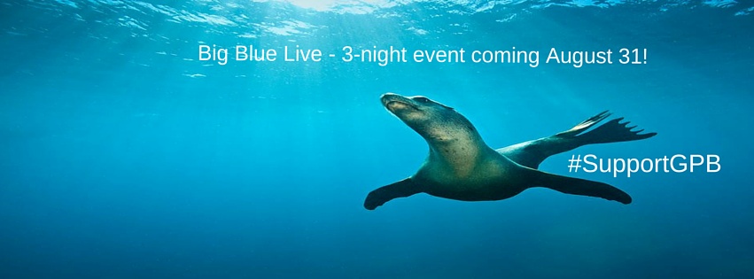 Big Blue Live PBS BBC Savannah GPB