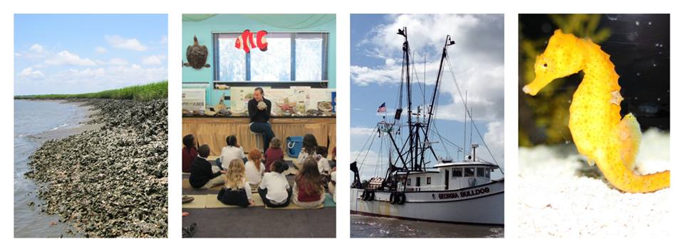 Free Skidaway Marine Sciences Day Savannah 2015