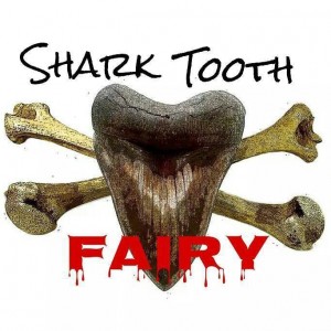 Shark Tooth Fairy Shark Tooth Tybee Hunt 2015