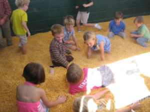 Ottawa Farm Corn Crib Savannah 