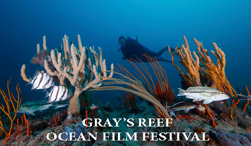 Gray's Reef Ocean Film Festival Children's Session Savannah