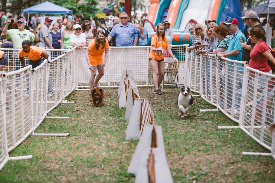 Doggie Carnival Forsyth Park Savannah 