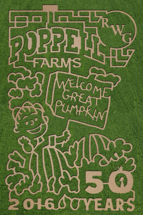 Peanuts-themed corn maze Savannah Poppell Farm