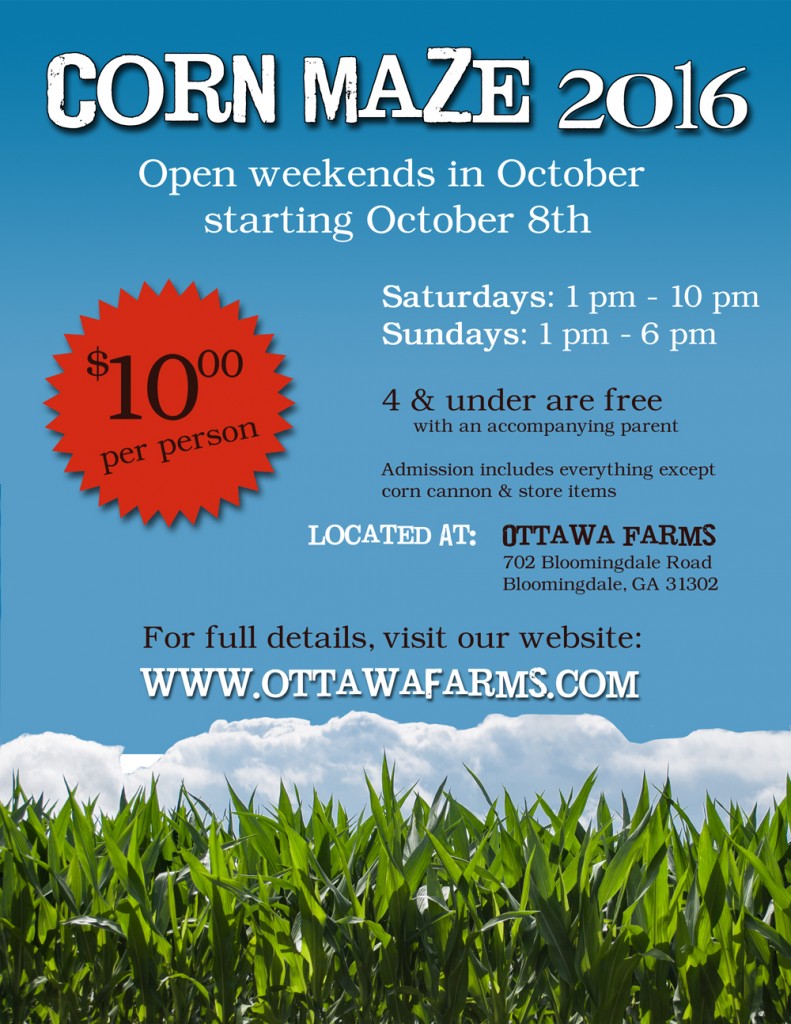 Ottawa Farms Corn Maze Pumpkin Patch 2016 Savannah 