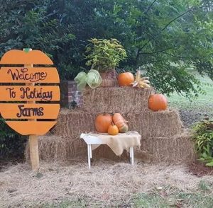 Holiday Farms pumpkin patch Ridgeland hayrides pig races 