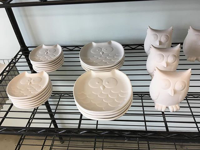Pottery Studio Paint your own Savannah Starlight pottery 