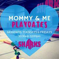 Things do in Savannah with preschoolers toddlers Mommy Me Savannah Sharks 