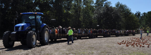 Hayrides Pumpkin Patches Mazes Savannah 