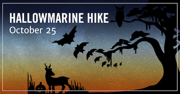 Hallowmarine Hike Savannah UGA Marine Skidaway Island 