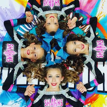 Savannah Sharks Cheerleading 