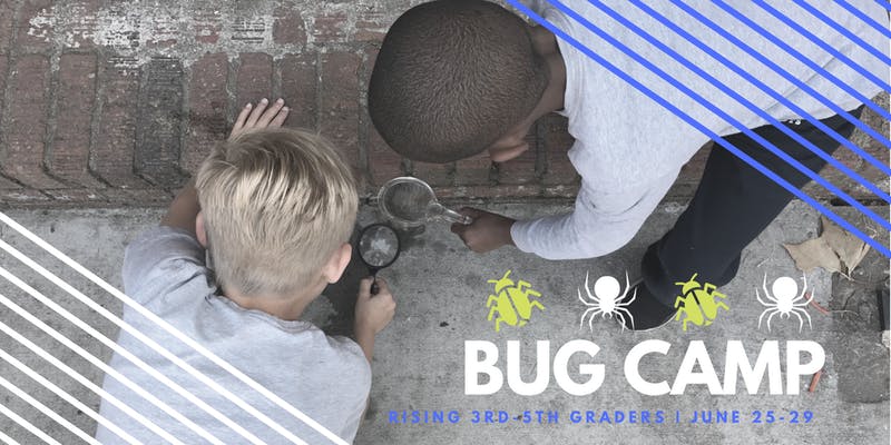 Bug Camp Summer Camps Savannah Habersham 