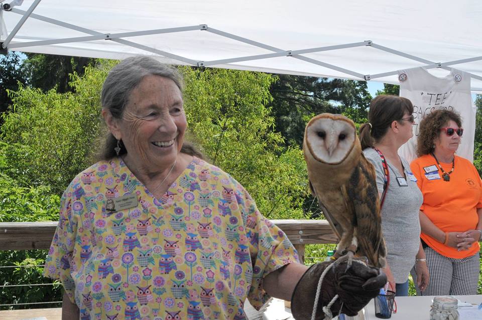 Owl nature program 