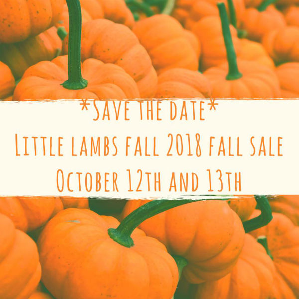 Little Lambs Savannah Consignment Sale 2018 