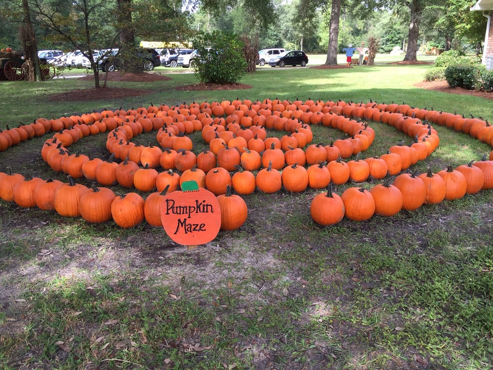 Savannah pumpkin patch farms, hayrides, corn mazes, pig races 2018 Fall 