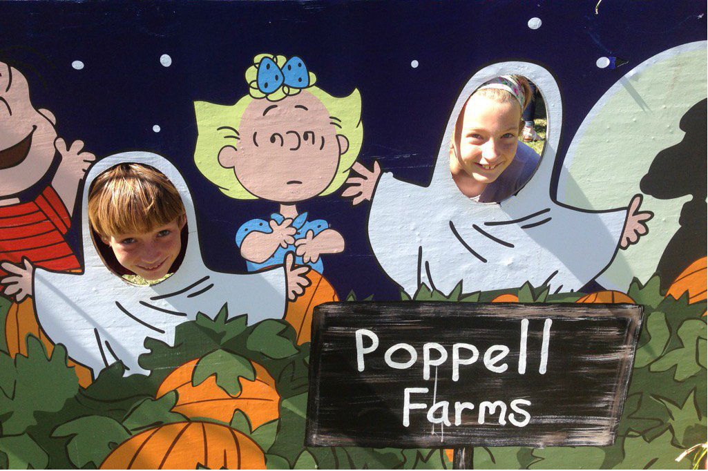 Savannah pumpkin patch farms hayrides corn maze