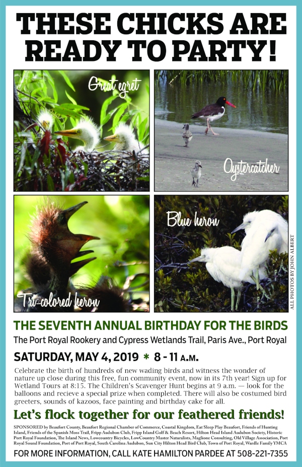 Birthday for Birds 2019 festival Port Royal SC 