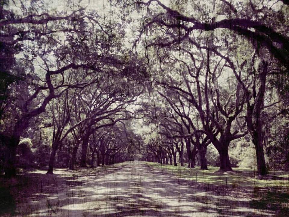 Haunted Trail @ Wormsloe State Historic Site 